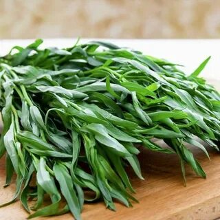 تصویر 2 از نرخ روز سبزی ترخون خشک + خرید مطمئن
